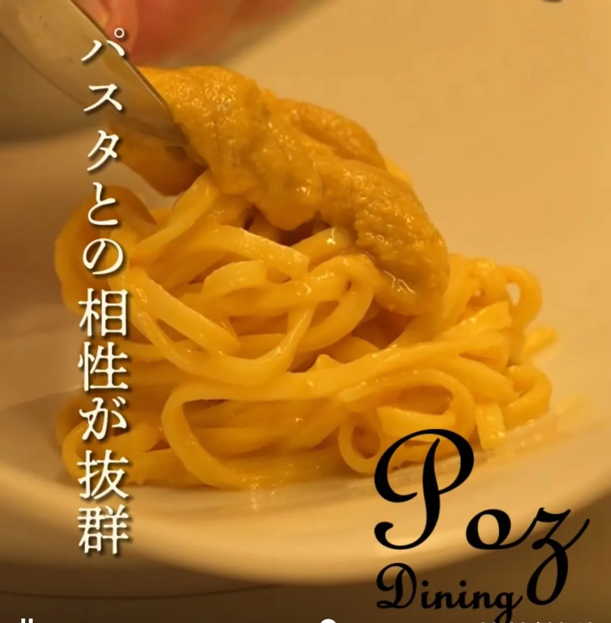 ✨ 至高のイタリアンで、特別なひとときを ✨