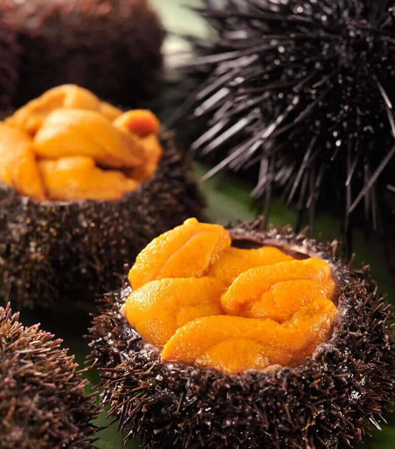 【海の宝石、極上のうにを贅沢に】