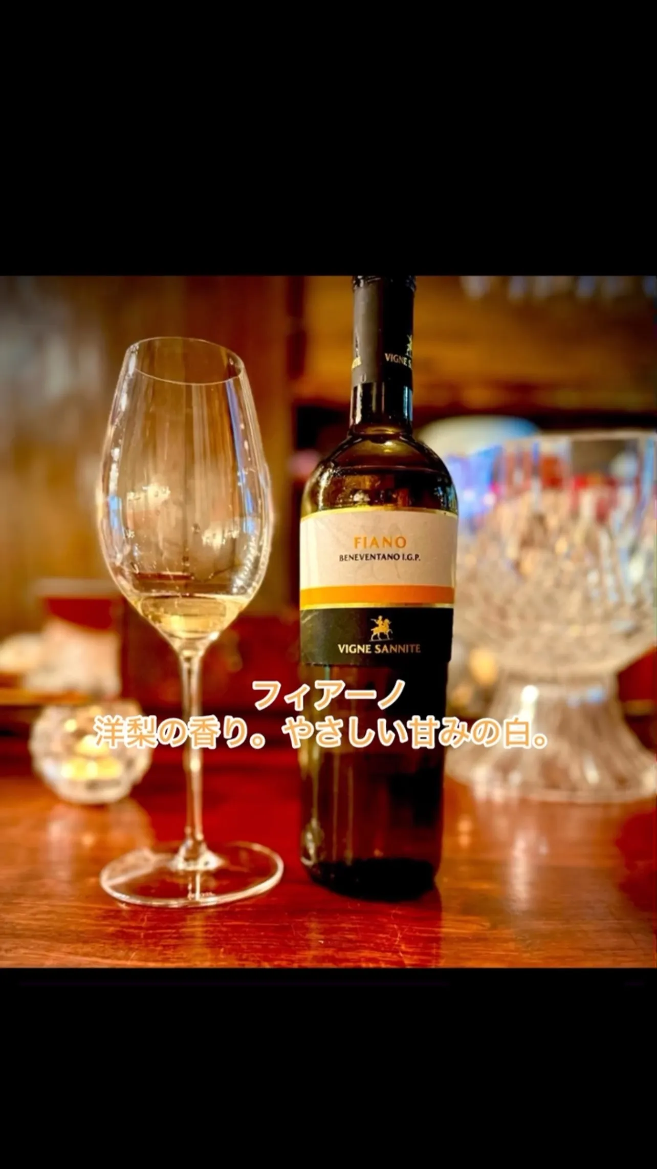 🇮🇹 厳選食材 × 匠の技 × 発酵のチカラ